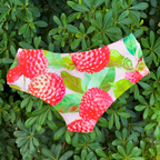 Monokini / culotte Letchis - Fr.LaJolieFun